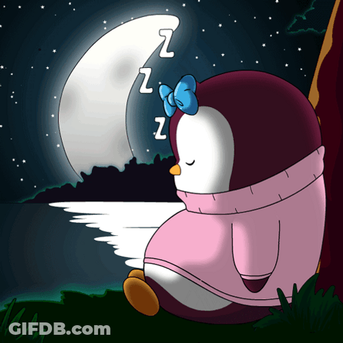 Lil Pudgy Nighty Night GIF