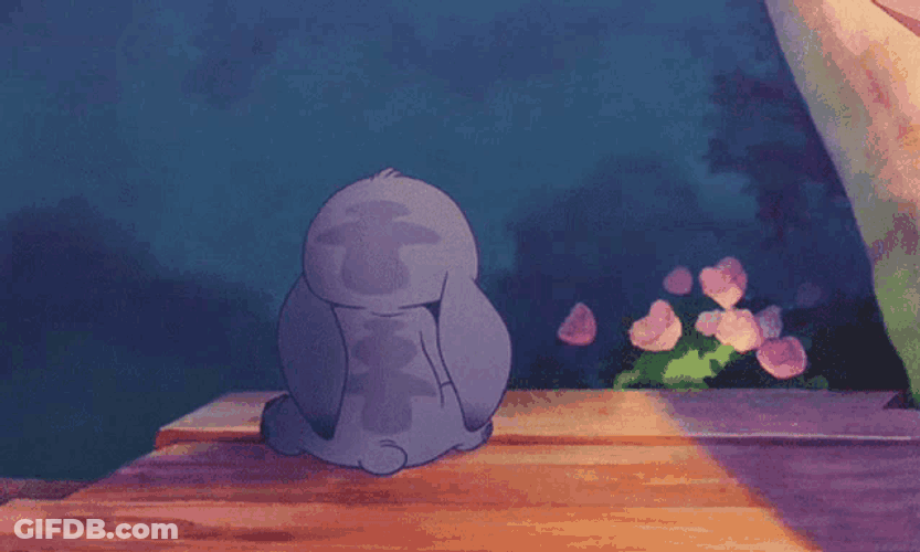 Lilo E Stitch Lilo And Stitch GIF