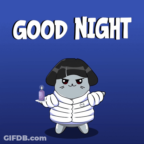LilSappy's Goodnight Cat GIF