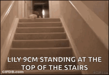 Lily 9Cm Standing At Top Of Stairs GIF