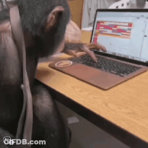 Limbani Monkey GIF