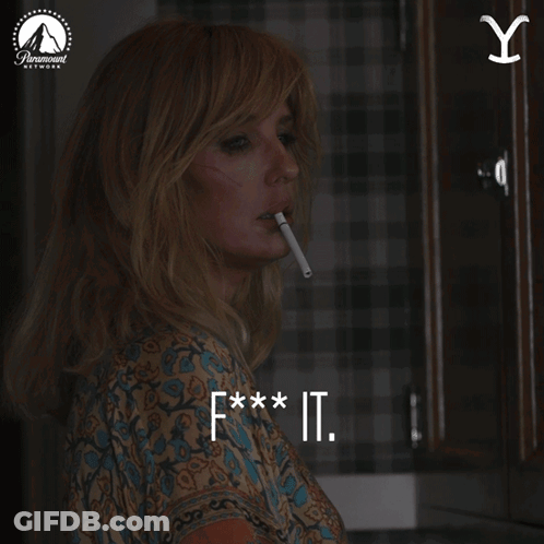 Limited Seats Airplane Ad With Book Now Button GIF