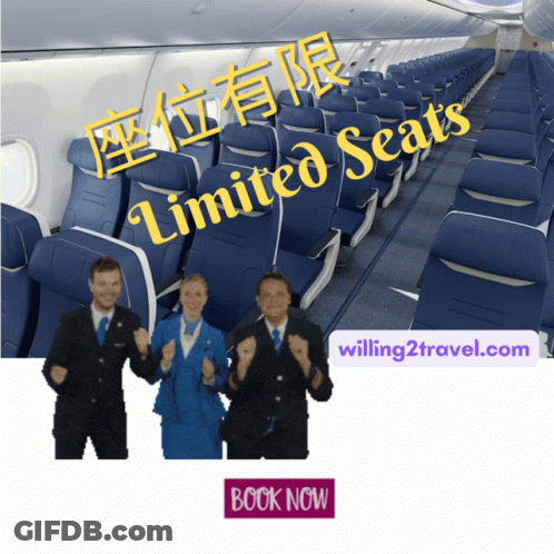 Limited Seats Airplane Ad With Book Now Button GIF