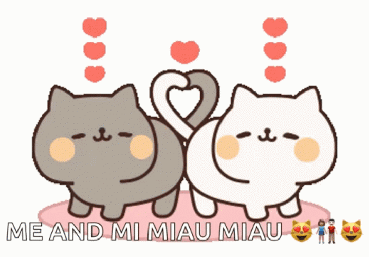 Line Stickers Cute Cat Funny Happy Anniversary GIF