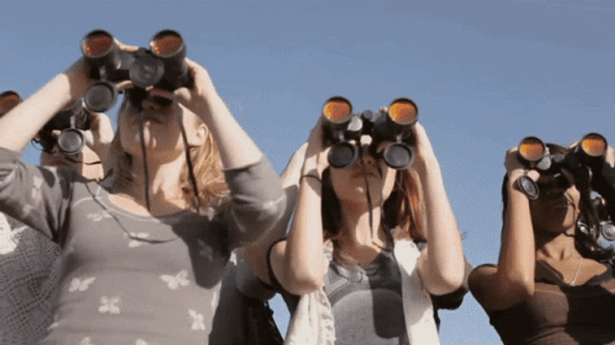 Lined Up People Looking Thru Binoculars GIF