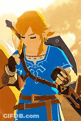 Link From Legend Of Zelda Holding Sword And Shield GIF