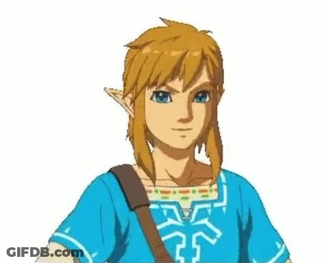 Link From The Video Game Breath Of The Wild Is Giving A High Five . GIF
