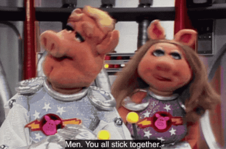 Link Hogthrob Beaker Muppets GIF