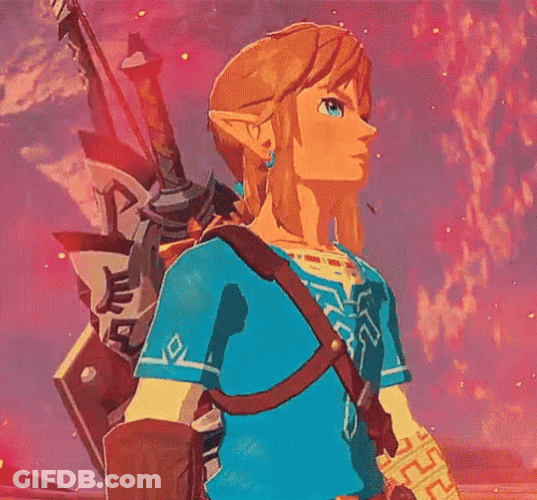 Link Legend Of Zelda Sword Warrior Looking Around GIF