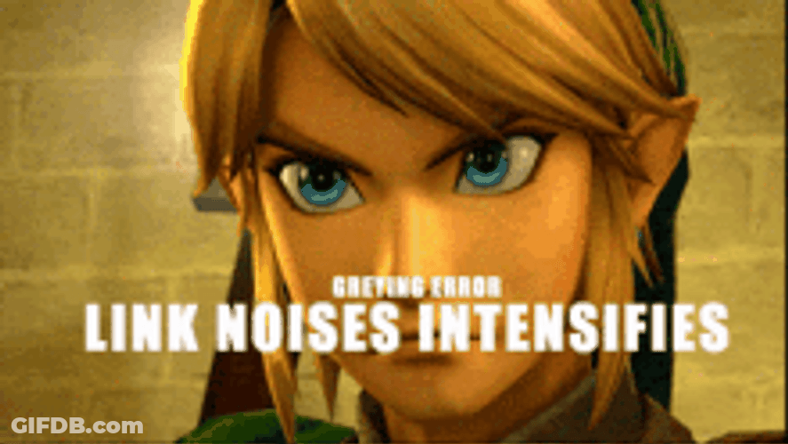 Link Noise Error The Legend Of Zelda Game GIF
