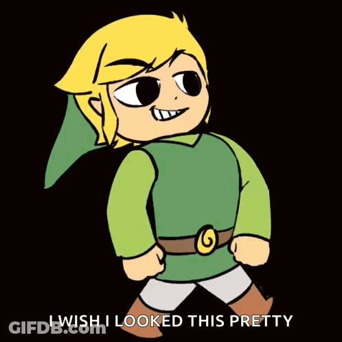 Link Saying I Wish I Looked This Pretty GIF