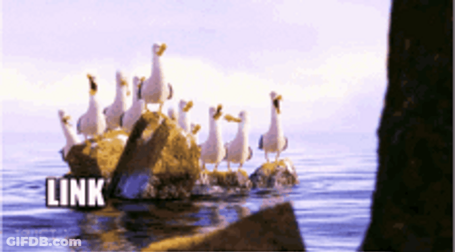 Link Screaming Seagulls Ocean Meme GIF