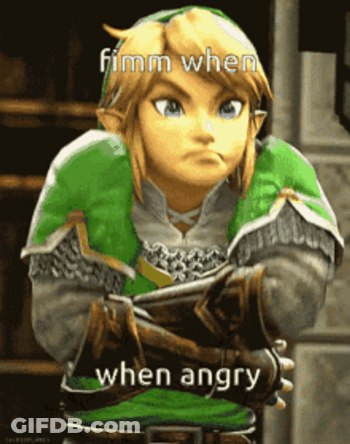 Link The Legend Of Zelda Angry Hyrule Warrior GIF