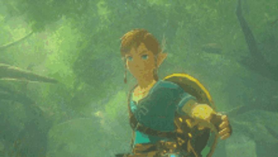 Link The Legend Of Zelda Forest Sword Nintendo GIF