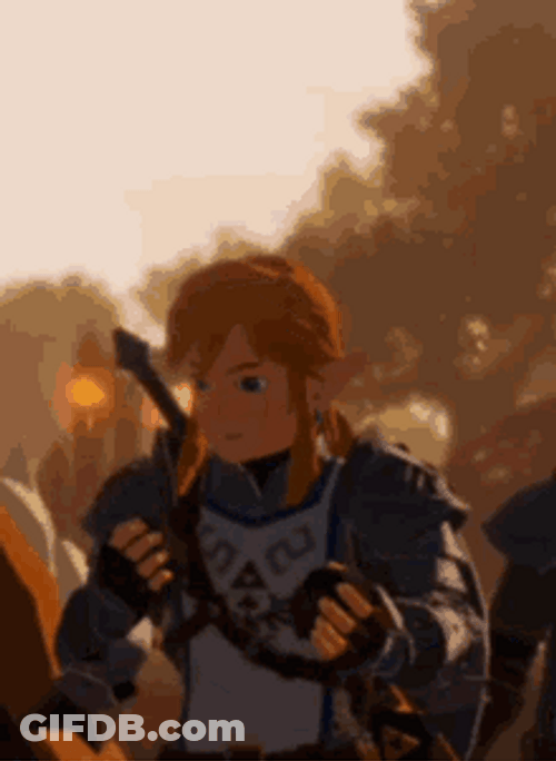 Link The Legend Of Zelda Hungry Eating Food GIF