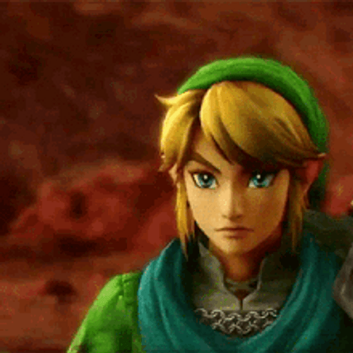 Link The Legend Of Zelda Nice Reaction Meme GIF