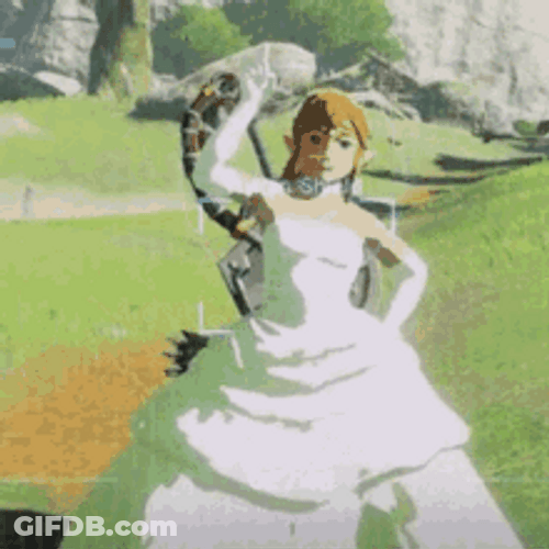 Link The Legend Of Zelda Princess Gown Archer GIF