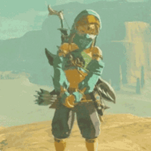 Link The Legend Of Zelda Shy Desert Nintendo GIF