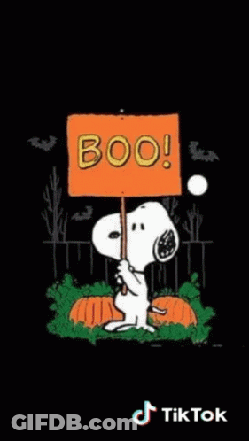 Linus And Snoopy Talking About Halloween GIF