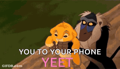 Lion And Baboon From Lion King Yeet GIF