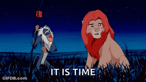 Lion And Baboon It Is Time GIF