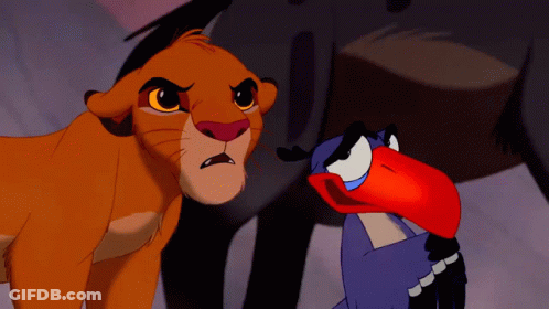 Lion And Bird From The Lion King GIF