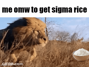 Lion And Bowl Of Rice GIF