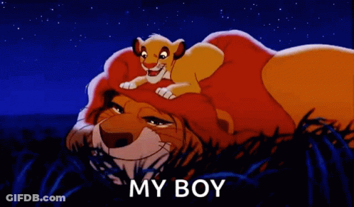 Lion And Cub From Lion King Laying In Grass Saying My Boy GIF