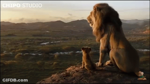Lion And Cub Sitting On Rock Looking At Each Other GIF