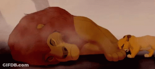 Lion And Cub Sleeping Next To Each Other Lion King GIF