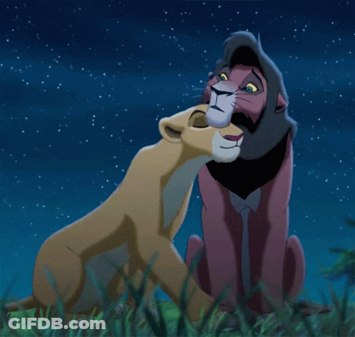 Lion And Lioness Kissing In Grass GIF