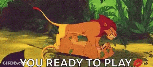 Lion And Lioness Laying Together Ready To Play GIF