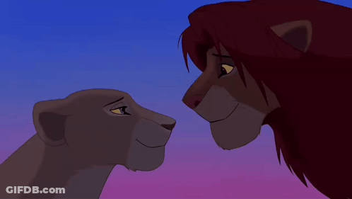 Lion And Lioness Looking At Each Other Under Blue Sky GIF