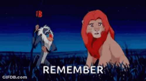 Lion And Monkey From The Lion King Saying Remember GIF