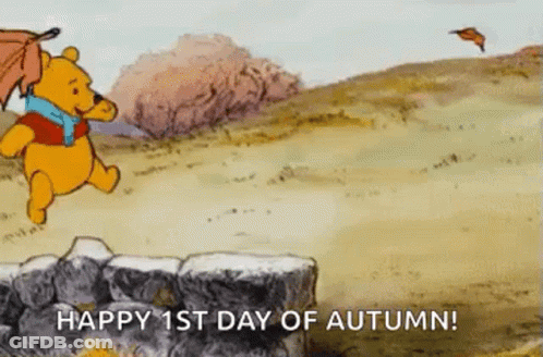 Lion And Monkey From The Lion King Saying Remember GIF