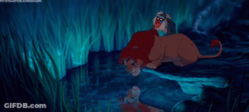 Lion And Monkey Standing In Water GIF