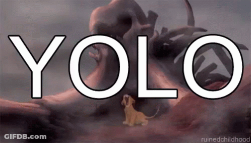 Lion And Skull Saying YOLO GIF