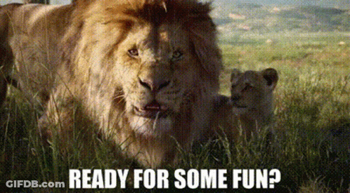 Lion And Two Cubs Ready For Some Fun GIF