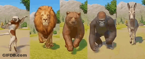 Lion, Bear, Gorilla, Donkey And Monkey Running GIF