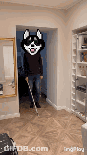 Lion Born To Be Wild GIF