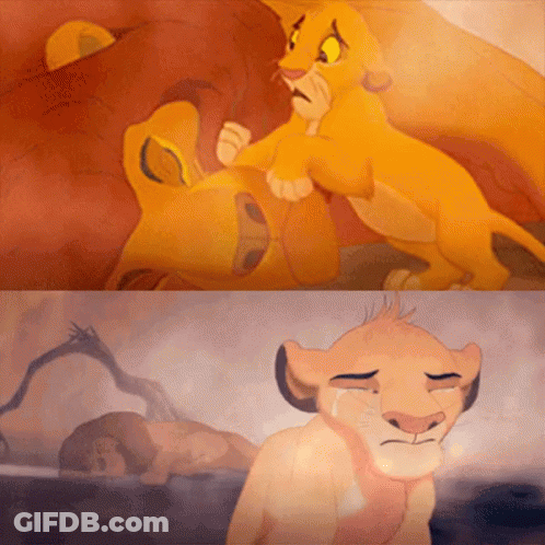 Lion Cub Crying In Front Of Dead Lion GIF