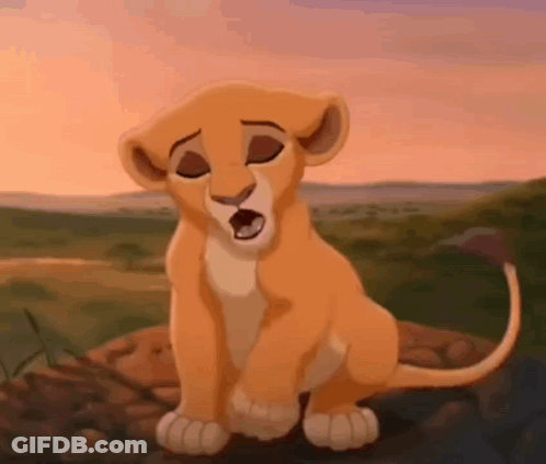 Lion Cub From The Lion King Sitting On Rock With Mouth Open GIF
