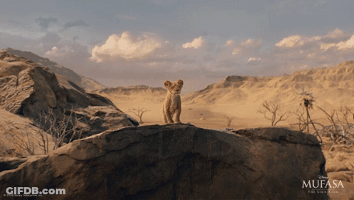 Lion Cub On Rock In Desert With Mufasa Logo GIF