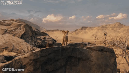 Lion Cub Standing On Rock With Toms J2005 Logo GIF