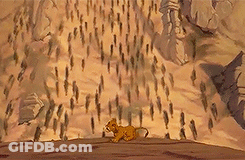 Lion Cub Walking Across Desert With Crowd GIF