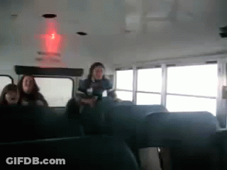 Lion Cub Walking In Field Saying That's Not A Stray That's My Brother GIF
