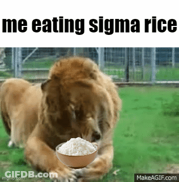 Lion Eating Bowl Of Rice GIF