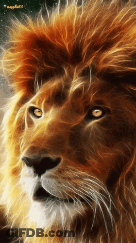 Lion Face Close Up With Number 63 GIF