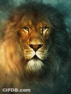 Lion Face With Blue Eyes GIF