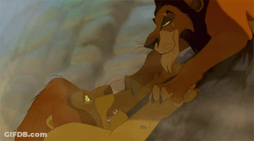 Lion Fighting Yellow-Eyed Lion GIF